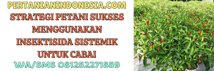 strategi,petani,sukses,pengaplikasian,pertanian indonesia